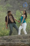 galli-kurrollu-movie-stills