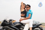 galli-kurrollu-movie-stills