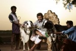 komban-tamil-movie-gallery