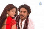 Murattu Kaalai Tamil Movie Stills