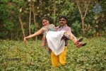 oho-tamil-movie-stills