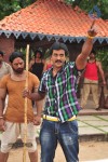 poola-rangadu-movie-stills