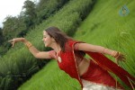 prema-nilayam-movie-stills