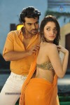 rachcha-movie-new-gallery