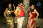 sankranthi-alludu-movie-new-stills