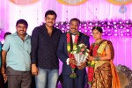 harinath-krishnaveni-wedding-reception