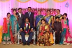 harinath-krishnaveni-wedding-reception