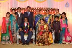 harinath-krishnaveni-wedding-reception