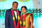 harinath-krishnaveni-wedding-reception