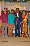 harinath-krishnaveni-wedding-reception