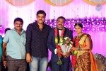 harinath-krishnaveni-wedding-reception