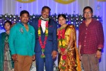 harinath-krishnaveni-wedding-reception