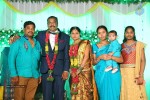 harinath-krishnaveni-wedding-reception