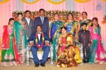 harinath-krishnaveni-wedding-reception