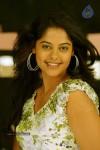 bindu-madhavi-hot-stills