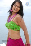 bindu-madhavi-hot-stills