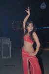 divyayani-chakravarthi-spicy-stills