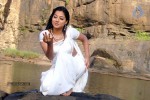 keerthi-chawla-spicy-stills