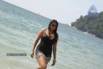 namitha-spicy-bikini-pics