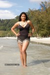 namitha-spicy-bikini-pics