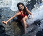 nikita-rawal-spicy-stills