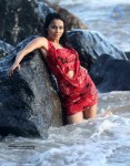 nikita-rawal-spicy-stills