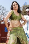 nisha-agarwal-spicy-pics