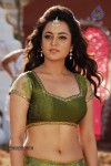 nisha-agarwal-spicy-pics