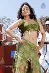 nisha-agarwal-spicy-pics