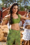 nisha-agarwal-spicy-pics