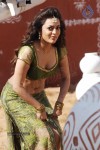 nisha-agarwal-spicy-pics