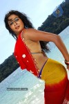 priyamani-hot-photos