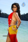 priyamani-hot-photos