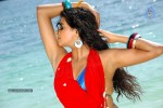 priyamani-hot-photos