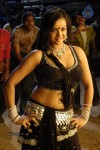 tanu-roy-hot-gallery