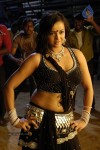 tanu-roy-hot-gallery