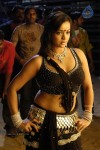 tanu-roy-hot-gallery