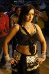 tanu-roy-hot-gallery