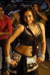 tanu-roy-hot-gallery