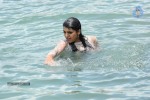 tashu-kaushik-hot-gallery