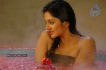 vimala-raman-spicy-pics