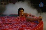 vimala-raman-spicy-pics