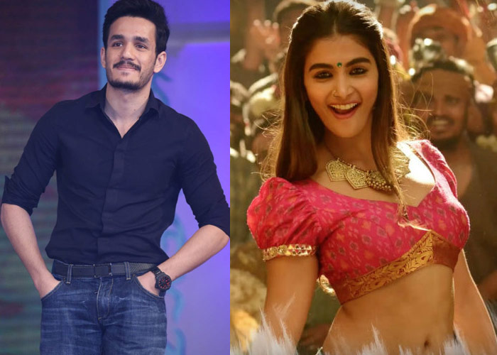 Top Actress Item Number In Akhil 3