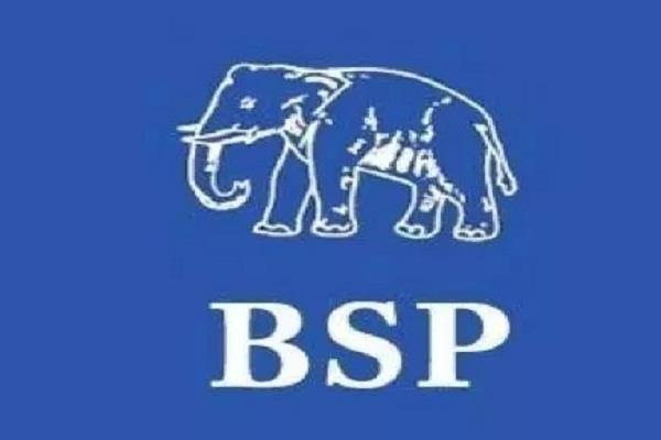 Pawan Allocated These Segments To BSP