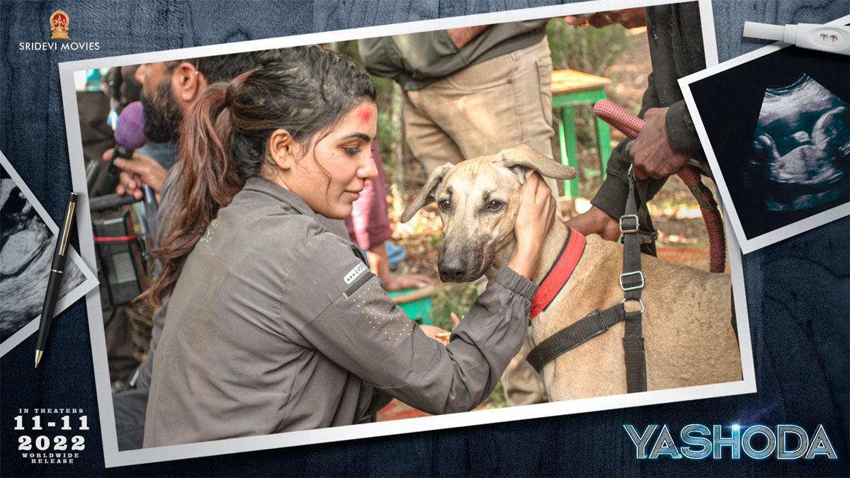 Yashoda has enthralling Action Sequences featuring never before visuals!!