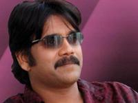 Nagarjuna's December sentiment continues