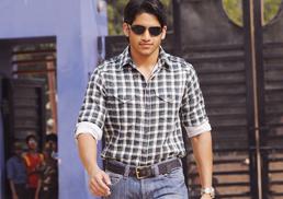 Naga Chaitanya Looking for next project