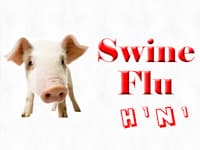 City reports six more swine flu cases