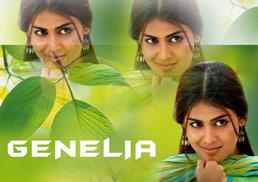 Genelia's next Bollywood venture