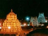 TTD inaugurates 'Seeghra Darshan' today